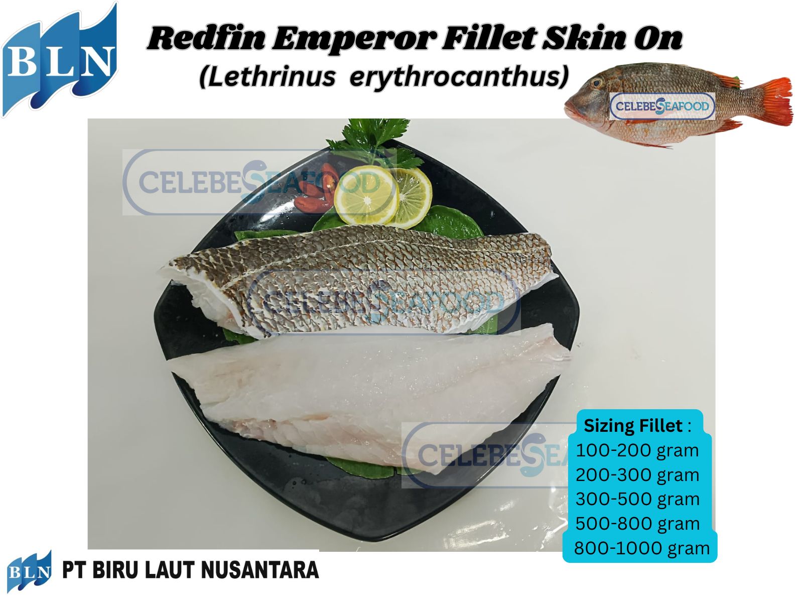 Redfin Emperor Fillet Skin On